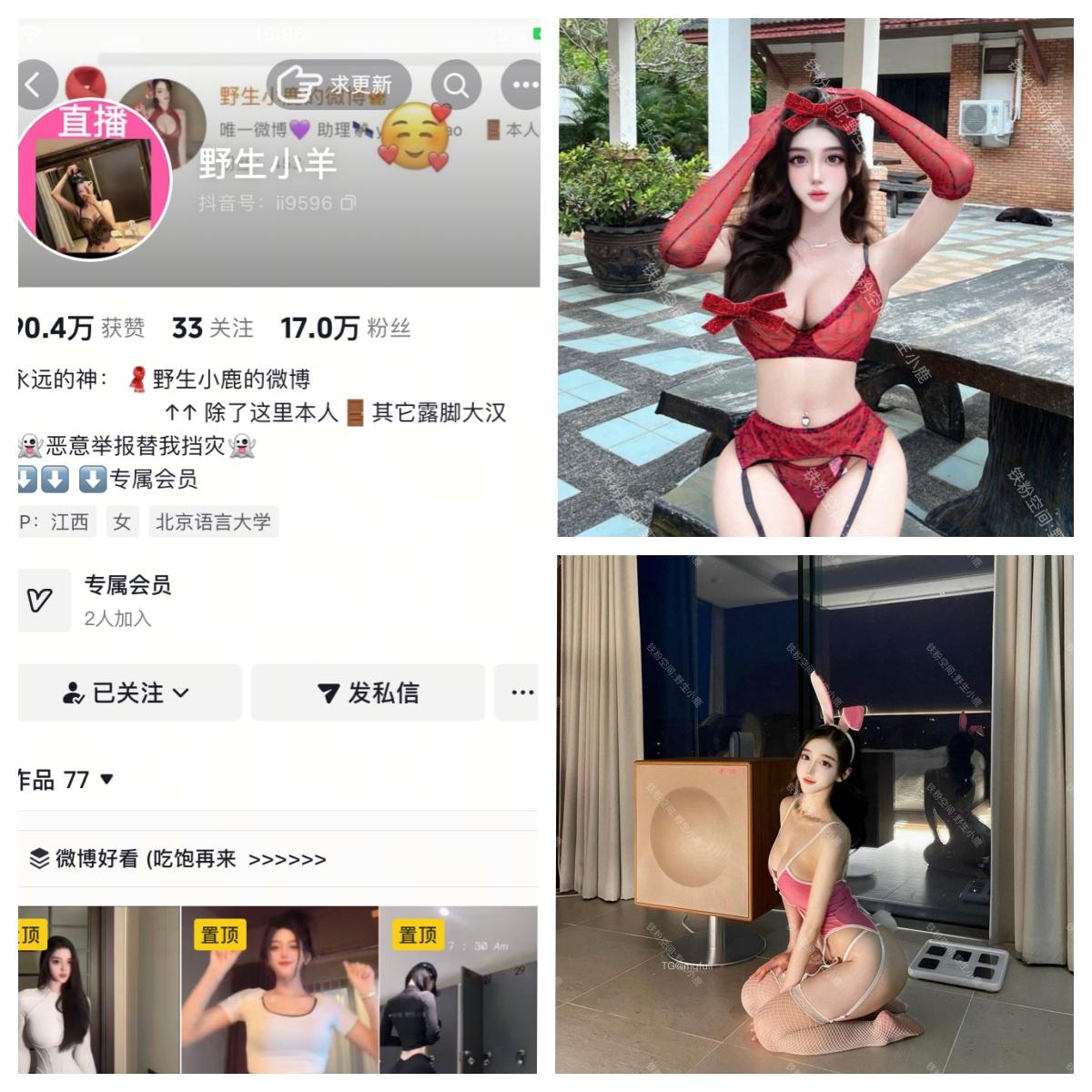 野生小羊  秘语空间/幻宇星球合集