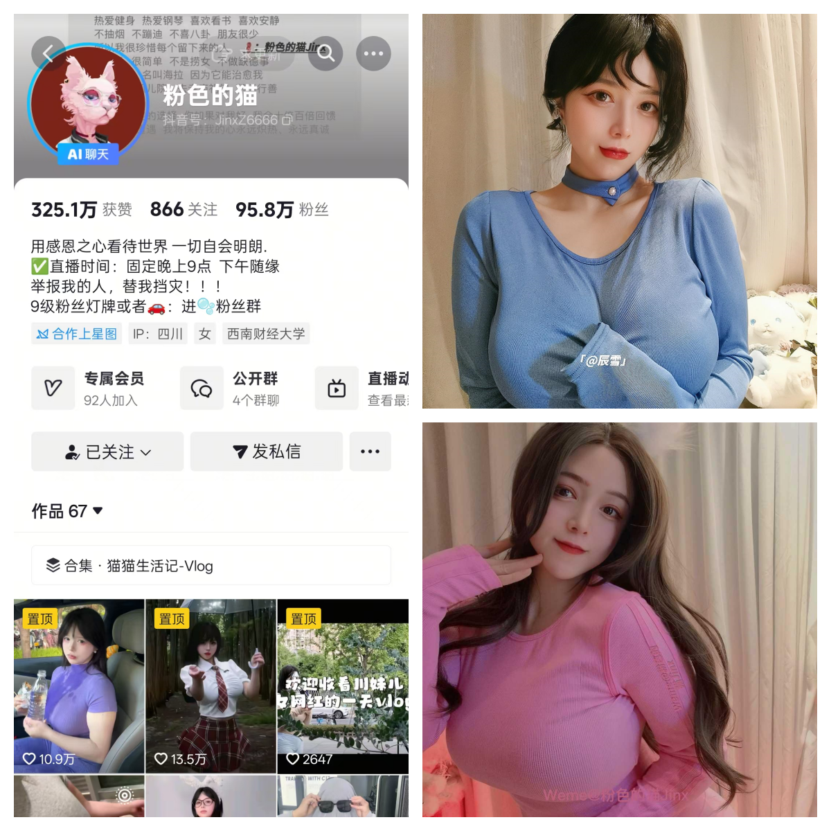 粉色的猫秘语空间/幻宇星球合集